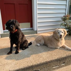 Meet your Posher, Mariana